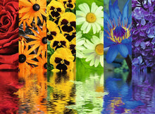 Load image into Gallery viewer, Ravensburger | Puzzle 500 PC - FLORAL REFLECTIONS #164462-8