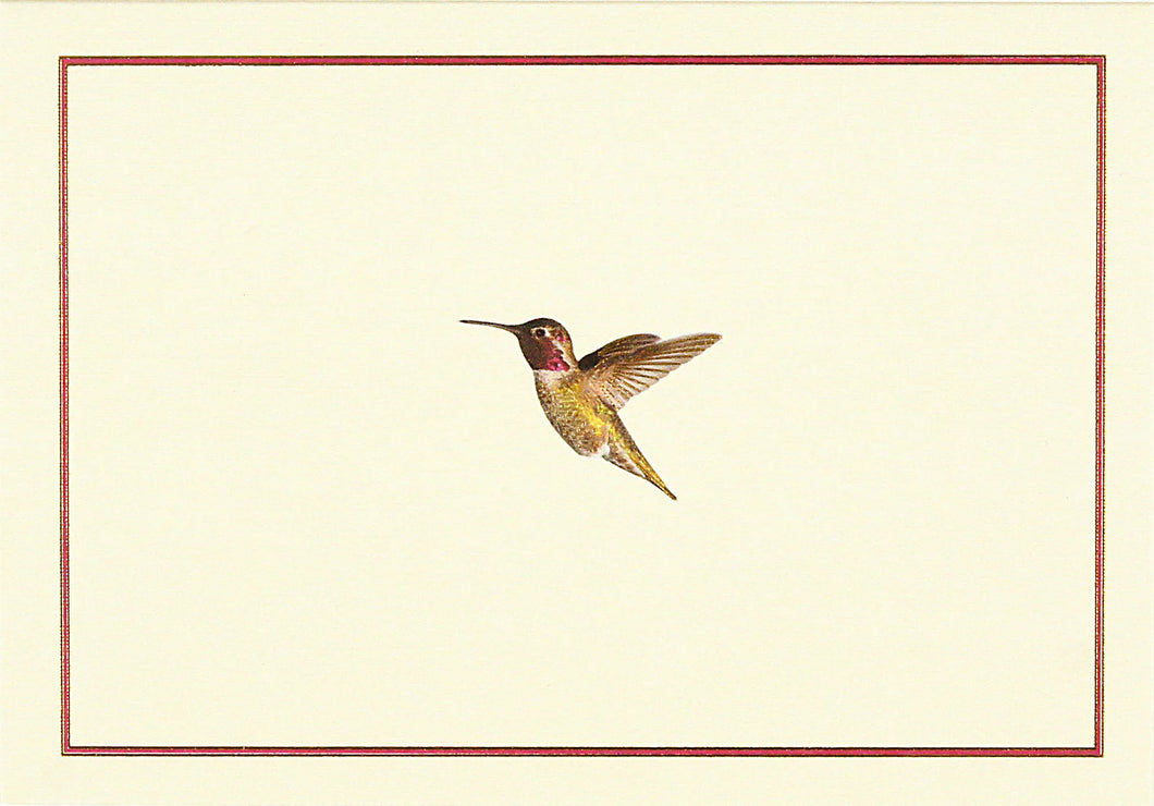 HUMMINGBIRD | Boxed Note Cards #316639-2
