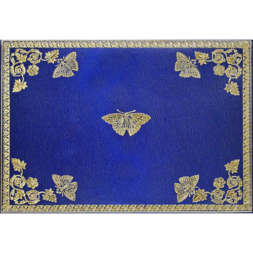 Boxed Note Cards | GILDED BUTTERFLY #341051-2