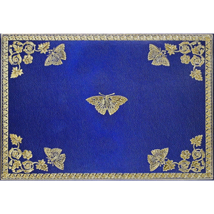 Boxed Note Cards | GILDED BUTTERFLY #341051-2