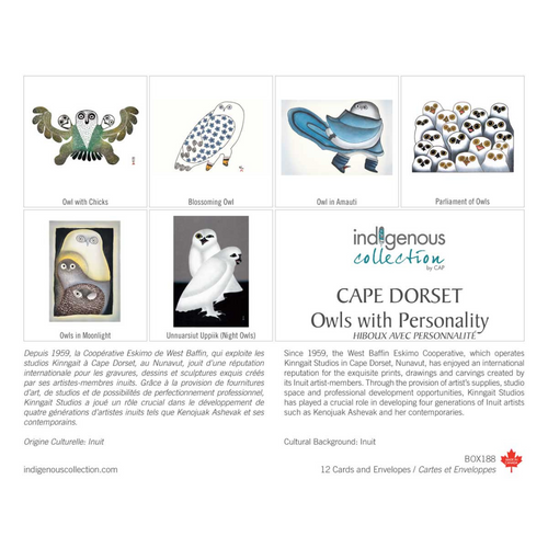Indigenous Collection | CAPE DORSET #BOX188