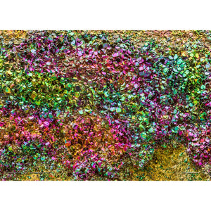 The Occurrence | Puzzle 1008 PC - RAINBOW PYRITE #15-106