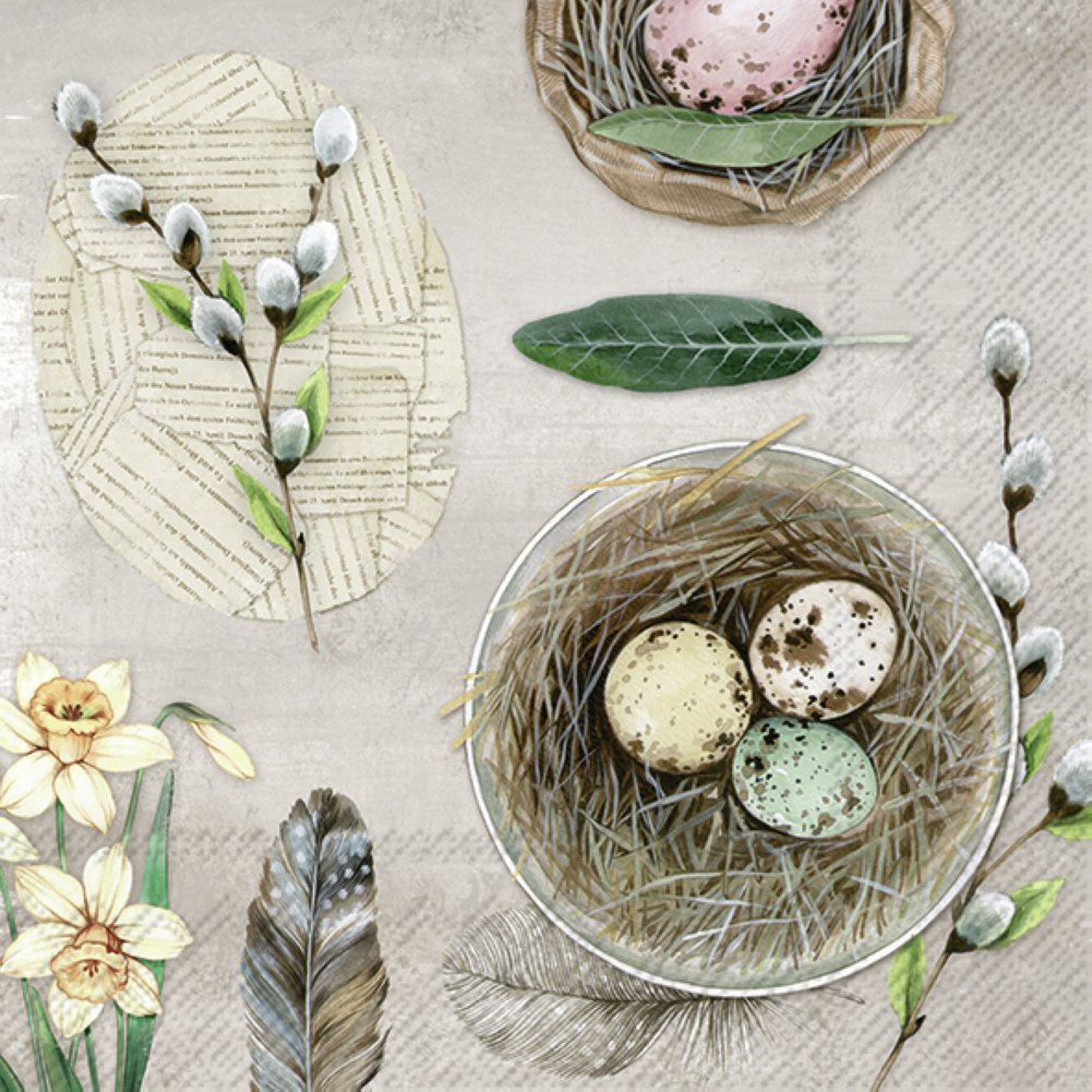 IHR Luncheon Napkins- Eggs and Feathers (natural) #L984969