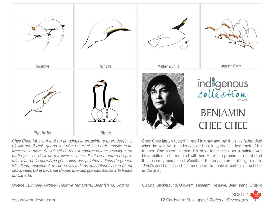 Indigenous Artist Notes, Box of 12 - Benjamin Chee Chee #BOX102